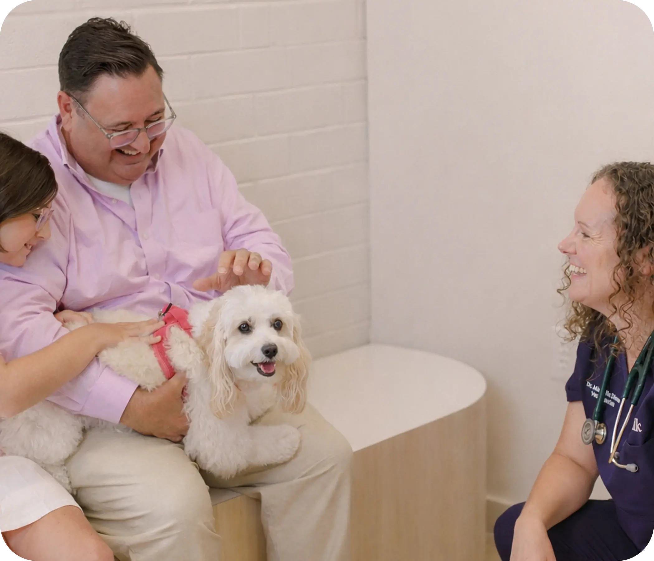 The all-in-one membership for total peace of mind